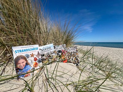 Mehrere Bücher liegen am Strand in einer Düne