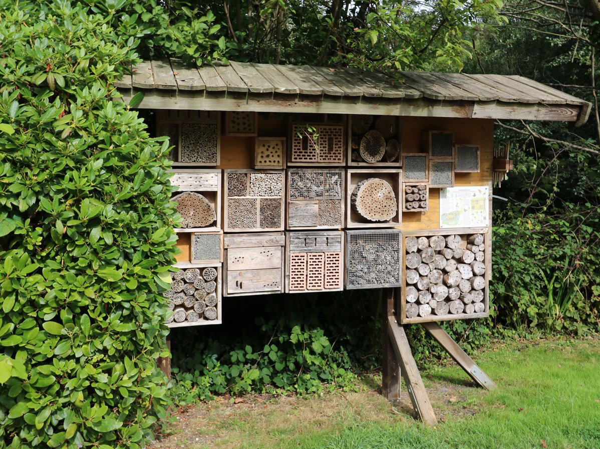 Ein großes, überdachtes Insektenhotel