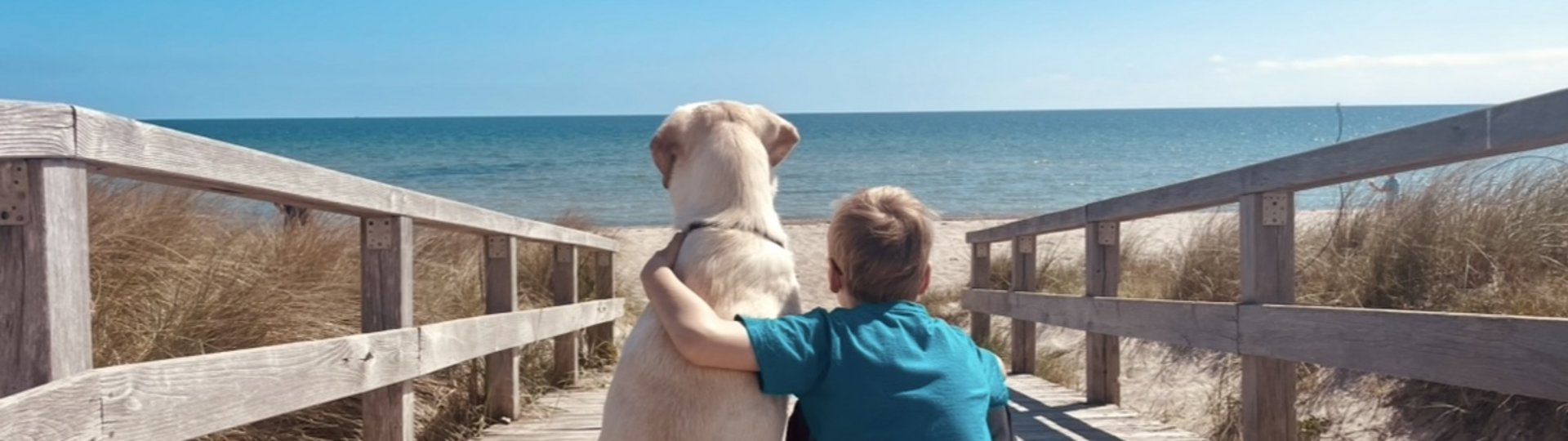 Ein Junge legt den Arm um seinen Hunde, beide blicken aufs Meer