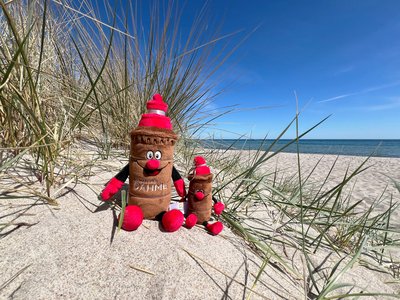 Zwei Maskottchen aus Plüsch liegen am Strand in einer Düne