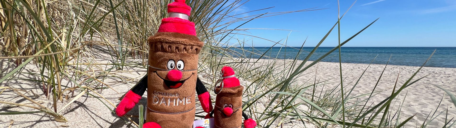 Zwei Maskottchen aus Plüsch liegen am Strand in einer Düne