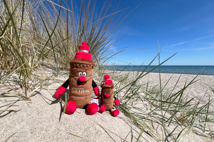 Zwei Maskottchen aus Plüsch liegen am Strand in einer Düne