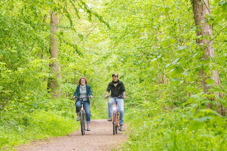 Ein Paar radelt durch einen Wald