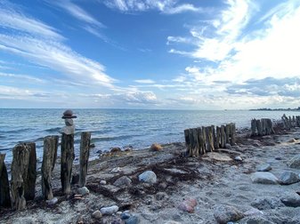 Ein steiniger Strand, man sieht ein paar hölzerene Pilonen
