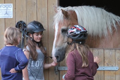 3 Kinder streicheln einen Haflinger